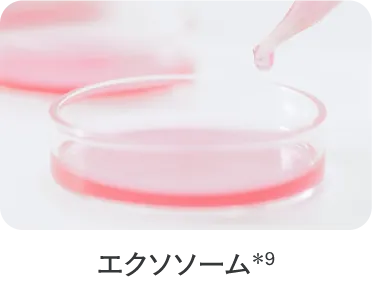 エクソソーム