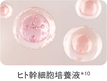 ヒト幹細胞培養液