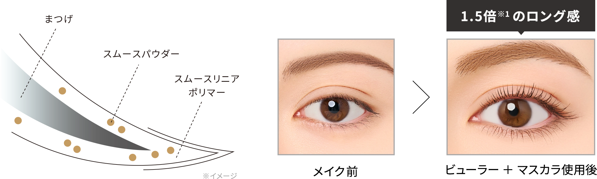 メイク前とビューラー＋マスカラ使用後
